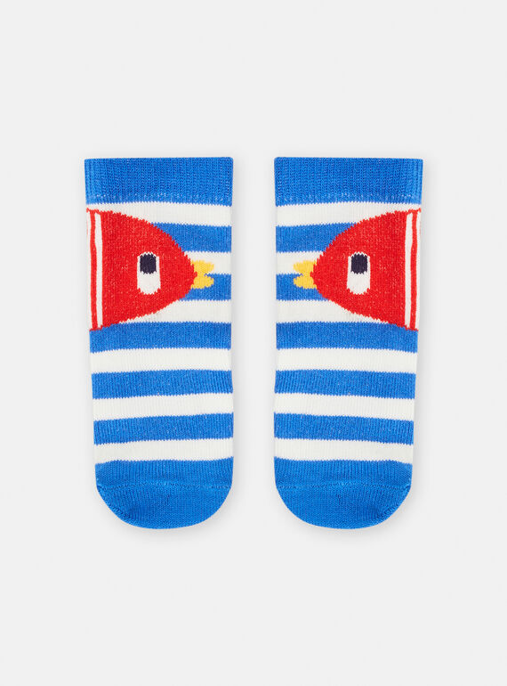 Baby boy cobalt blue striped socks TYUCLUCHO / 24SI10C3SOQC212