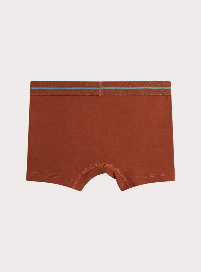 Orange BOXER XEGOBOX3 / 25WH1241BOXE415