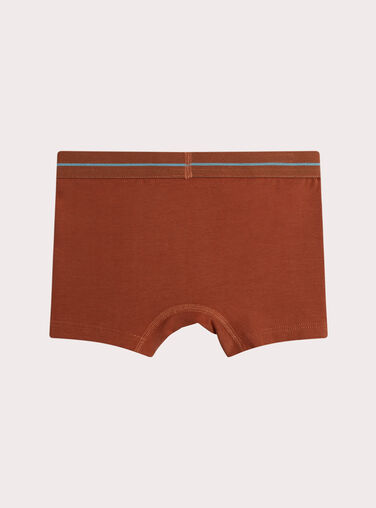 Orange BOXER XEGOBOX3 / 25WH1241BOXE415