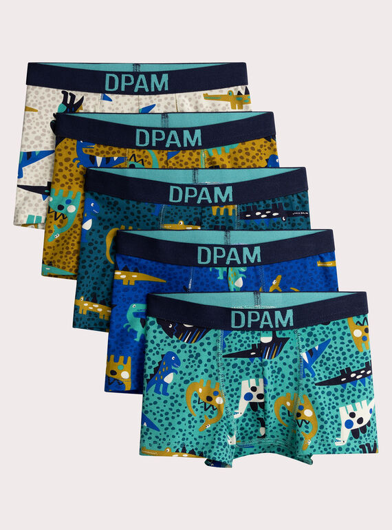 Set of 5 dinosaur print underpants for boys  VEGOBOXSEM1 / 24WH1283BOX209
