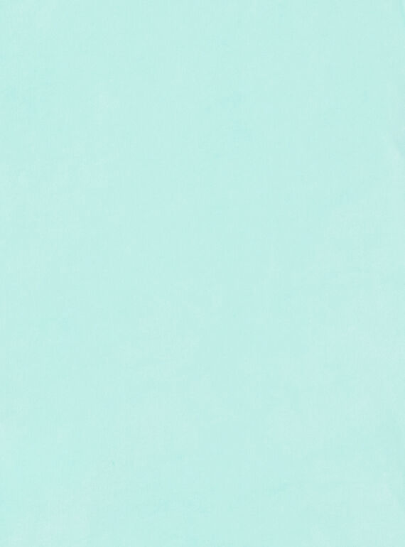 Children's pajamas girl velvet flamingo pattern LEFAPYJFLA / 21SH1112PYJC242