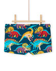 Multicolored bathing trunks with dinosaur print RYOMERSHODIN / 23SI02R1MAIC217