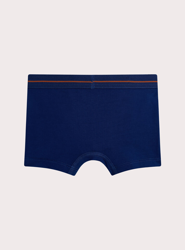 Blue BOXER XEGOBOX2 / 25WH1244BOXC210