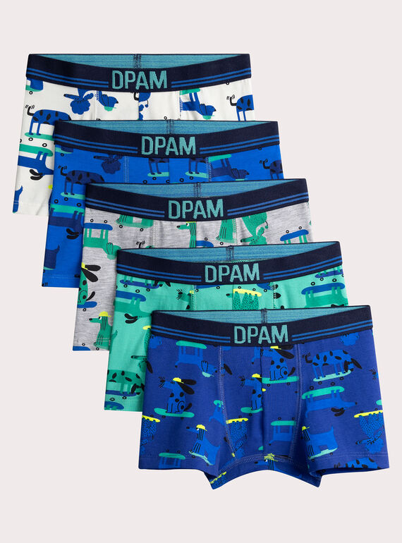 Set of 5 dog print underpants for boys  VEGOBOXSEM2 / 24WH1281BOXC214