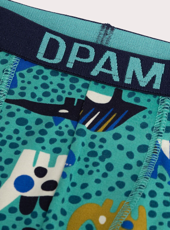 Set of 5 dinosaur print underpants for boys  VEGOBOXSEM1 / 24WH1283BOX209