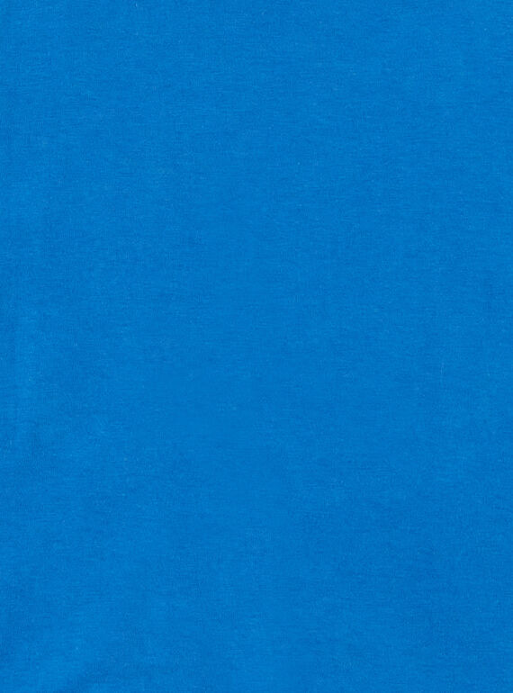 Blue cotton t-shirt boy boy LOBLETEE2 / 21S902J3TML702