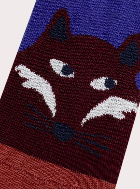 Blue SOCKS XYOJOCHO6 / 25WI02D4SOQC231