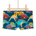 Multicolored bathing trunks with dinosaur print