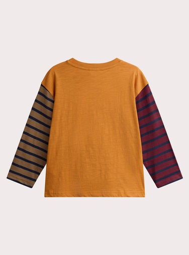 Rhino animation T-shirt and striped sleeves for boys  VOKOTEE2 / 24W90231TML109