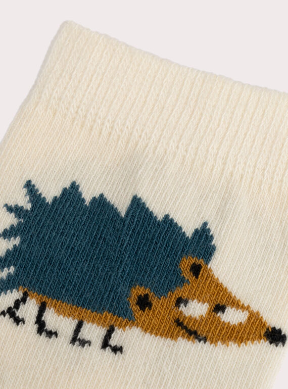 Colorful hedgehog pattern socks for boys  VYOJOCHOC2 / 24WI02H2SOQA016