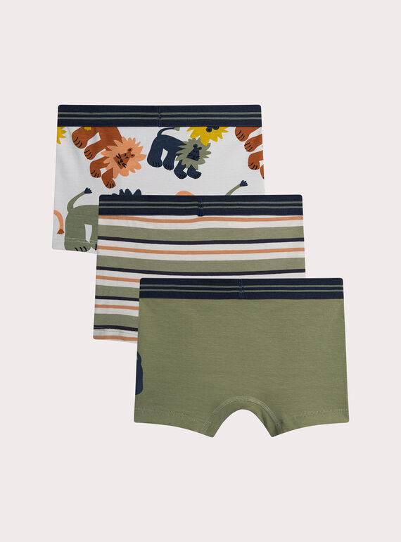 Light green BOXER XEGOBOX1 / 25WH1247BOX612