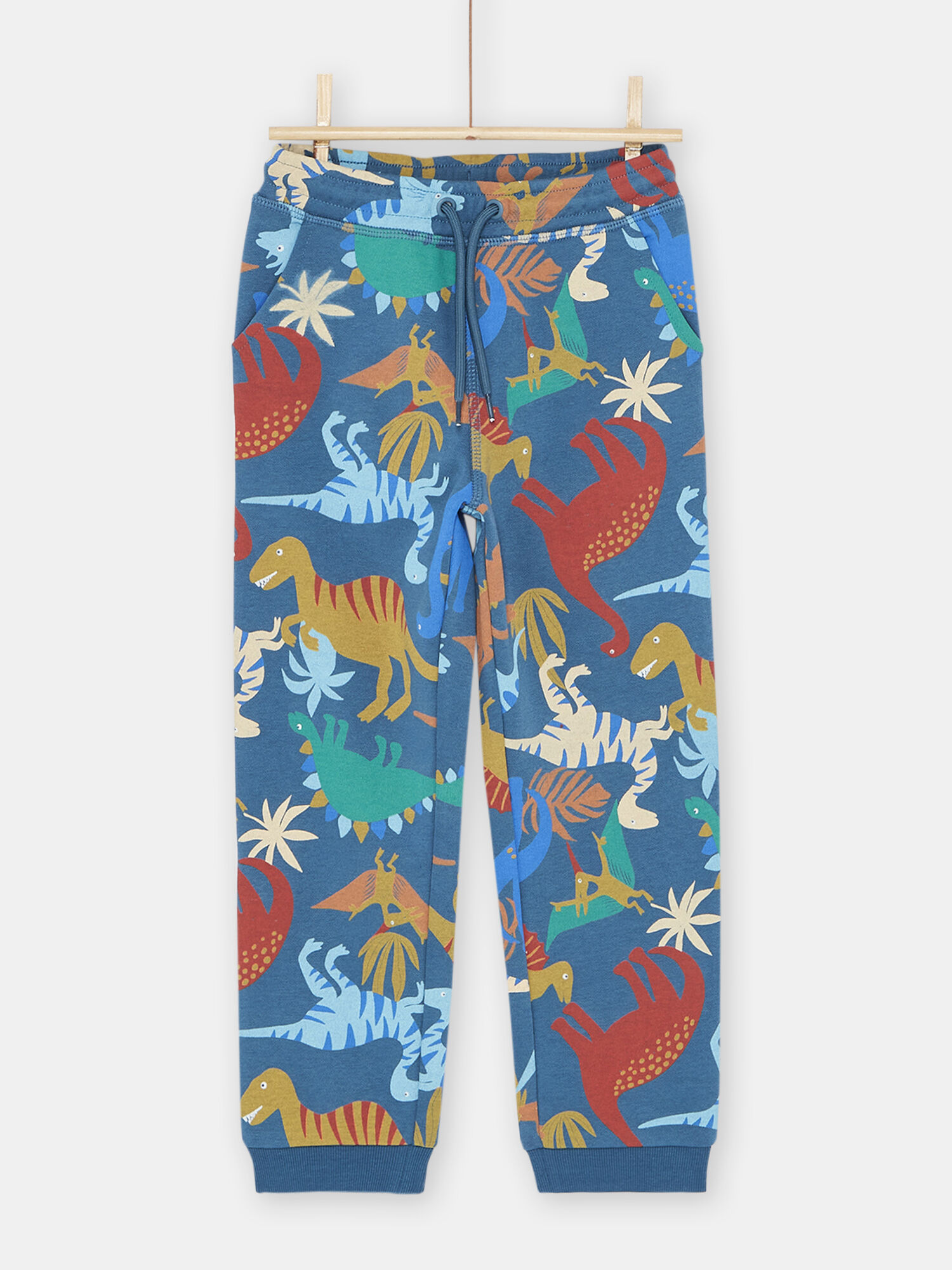 Boy s blue jogging suit with dinosaur print buy online Outfit
